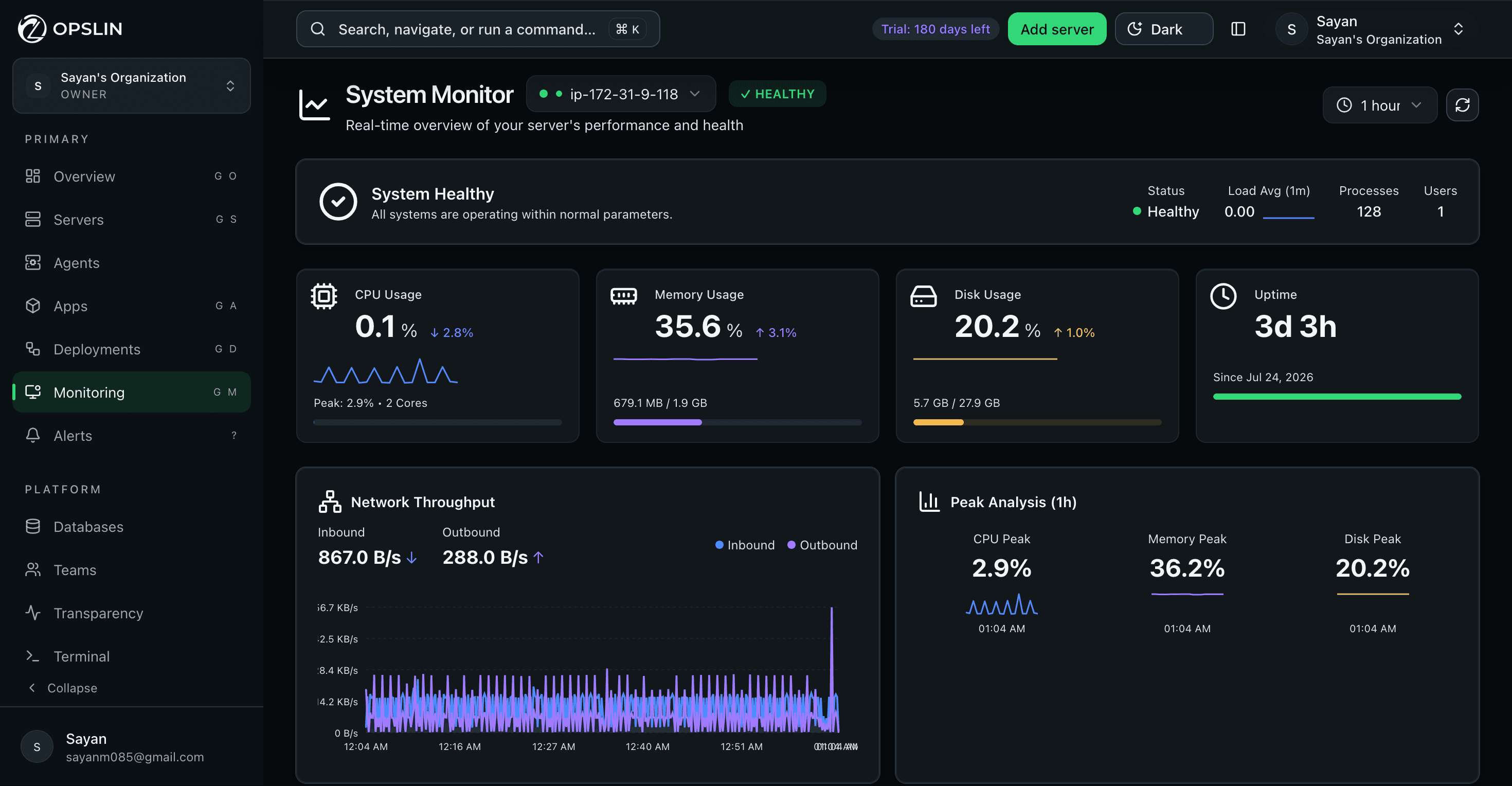 Opslin monitoring screen showing live CPU, memory, disk, and network charts for a server