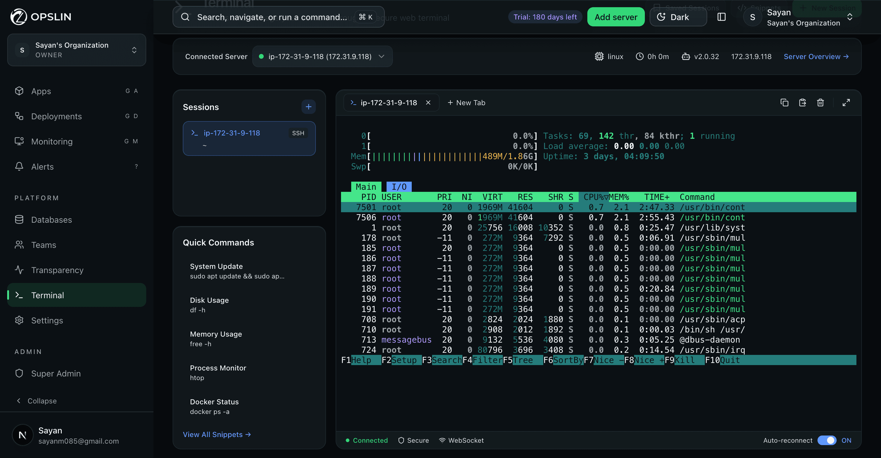 Opslin web terminal screen with an active SSH session and quick command shortcuts